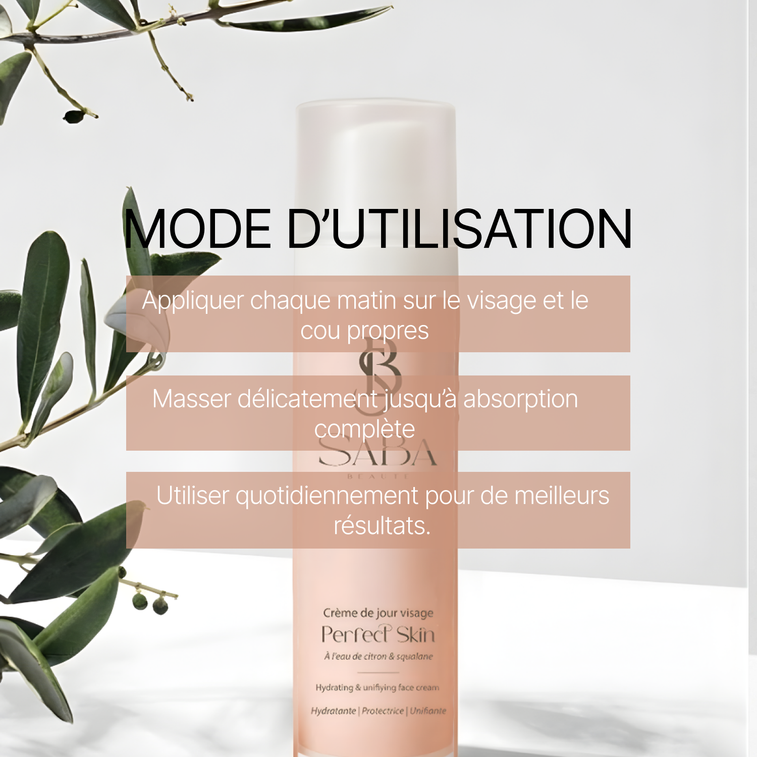 Crème de Jour Visage Perfect Skin